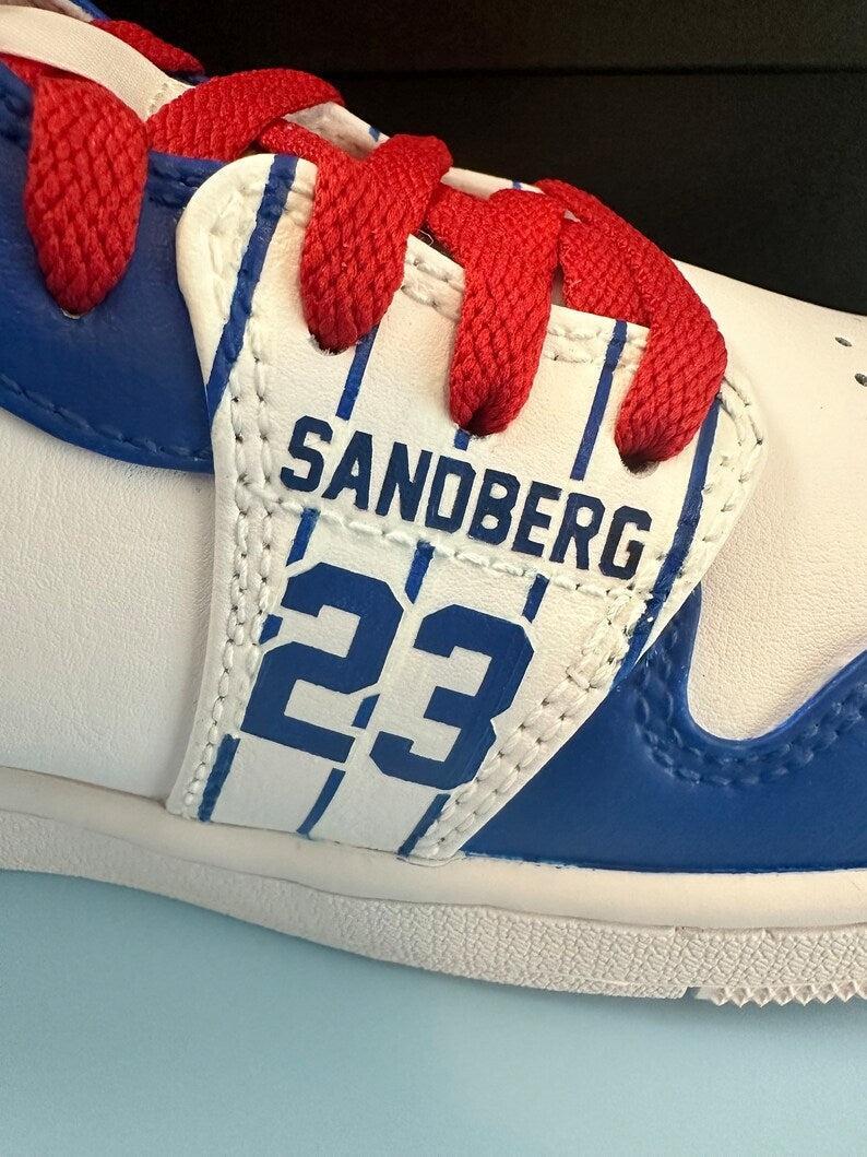 Custom Air Jordan 1 White Blue Red With Cubs Theme