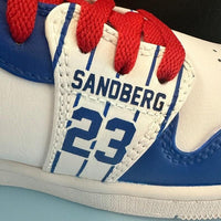 Custom Air Jordan 1 White Blue Red With Cubs Theme